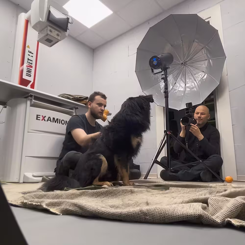 Fotograaf Kristian Kruuser pildistamas koerte varjupaigas üles seatud mobiilses fotostuudios